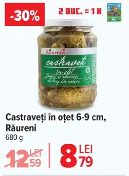 Carrefour Castraveţi în oțet 6-9 cm, Rǎureni Ofertă