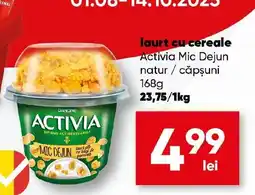 PROFI laurt cu cereale Activia Mic Dejun natur/căpşuni Ofertă