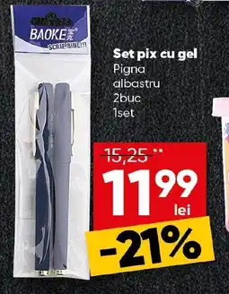 PROFI Set pix cu gel Pigna albastru Ofertă