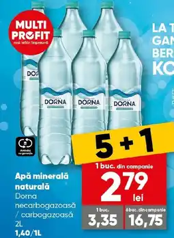 PROFI Apă minerală naturală Dorna necarbogazoasă / carbogazoasă Ofertă