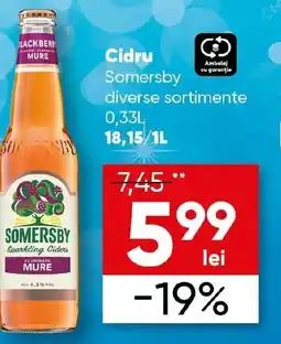 PROFI Cidru Somersby Ofertă