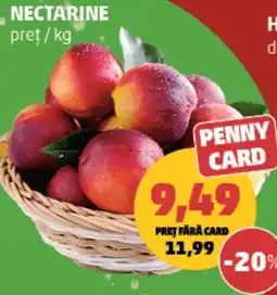 Penny Nectarine Ofertă