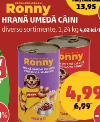 Penny Hrană umedă câini Ofertă