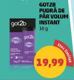 Penny Gotzb pudră de păr volum instant Ofertă
