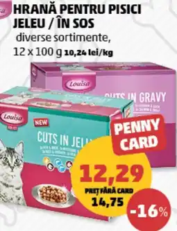 Penny Hrană pentru pisici jeleu/în sos Ofertă
