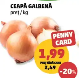 Penny Ceapă galbenă Ofertă