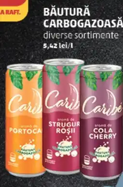 Penny Băutură carbogazoasă Ofertă