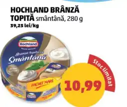 Penny Hochland brânză topită smântână Ofertă