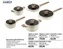 Selgros Vase pentru gătit Wild Stone Ofertă