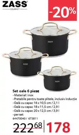 Selgros Set oale Ofertă