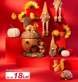 Kik Decorațiuni de toamnă Ofertă