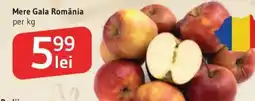 Supeco Mere Gala România Ofertă
