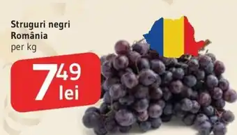 Supeco Struguri negri România Ofertă