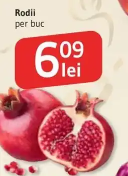 Supeco Rodii Ofertă