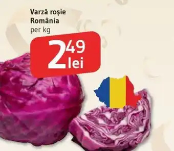 Supeco Varză roșie România Ofertă