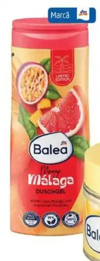 DM Balea mango málaga gel de duş Ofertă