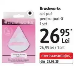 DM Brushworks set puf pentru pudră Ofertă