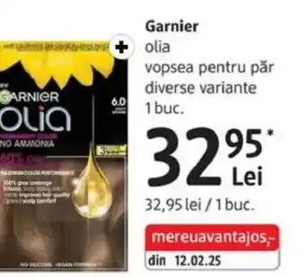 DM Garnier olia vopsea pentru păr Ofertă