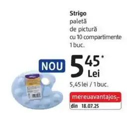 DM Strigo paletǎ de picturǎ cu 10 compartimente Ofertă