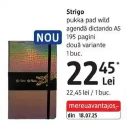 DM Strigo pukka pad wild agendǎ dictando A5 Ofertă