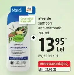DM alverde sampon anti-mătreaţă Ofertă