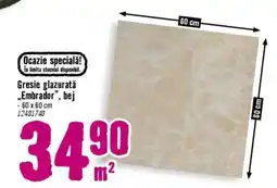 Hornbach Gresie glazurată „Embrador", bej Ofertă