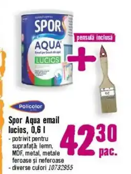 Hornbach Spor Aqua email lucios Ofertă
