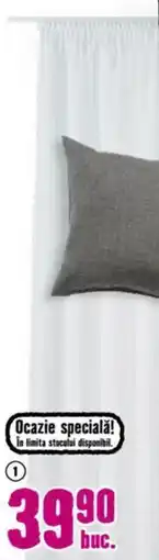 Hornbach Perdea „Perseide" Ofertă