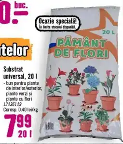 Hornbach Substrat universal Ofertă