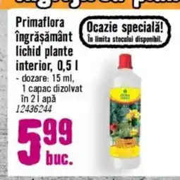 Hornbach Primaflora îngrăşământ disponibil. lichid plante interior Ofertă