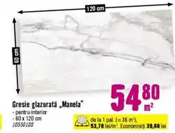 Hornbach Gresie glazurată „Manela” Ofertă