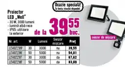 Hornbach Proiector LED „Well" Ofertă