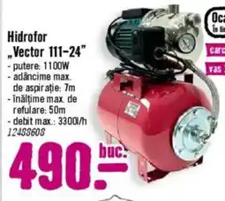 Hornbach Hidrofor „Vector 111-24" Ofertă