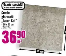 Hornbach Gresie glazurată „Laser Cut" Ofertă