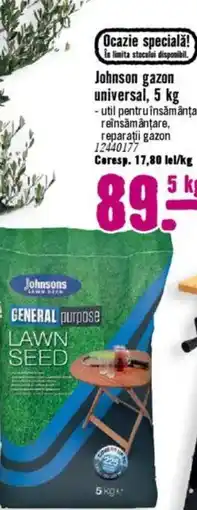 Hornbach Johnson gazon universal Ofertă