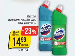Mega Image Domestos dezinfectant pe bază de clor, briza mării/pin Ofertă