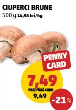 Penny Ciuperci brune Ofertă