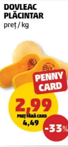 Penny Dovleac plăcintar Ofertă