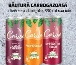 Penny Băutură carbogazoasă Ofertă
