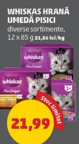 Penny Whiskas hrană umedă pisici Ofertă
