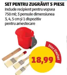 Penny Set pentru zugravit 5 piese Ofertă