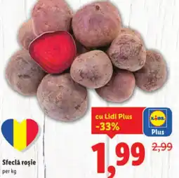 Lidl Sfeclă roşie Ofertă