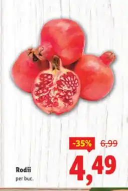 Lidl Rodii Ofertă