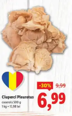 Lidl Ciuperci Pleurotus Ofertă