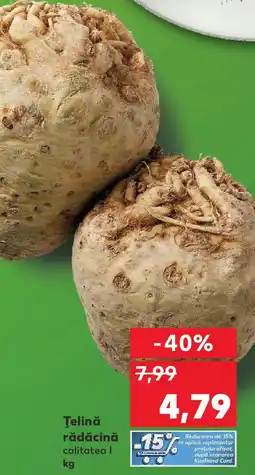 Kaufland Ţelină rădăcină Ofertă