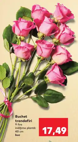 Kaufland Buchet trandafiri Ofertă