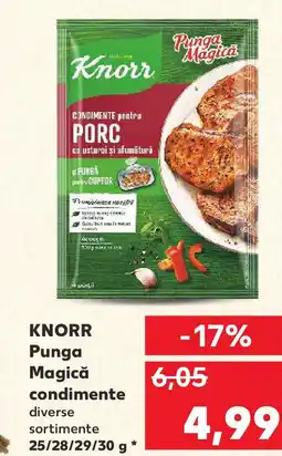 Kaufland KNORR Punga Magică condimente Ofertă