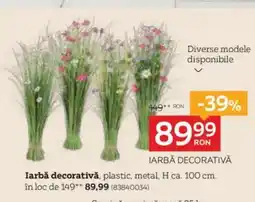 XXXLutz Iarbǎ decorativă Ofertă
