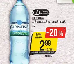 Mega Image CARPATINA Apă minerală naturală plată Ofertă