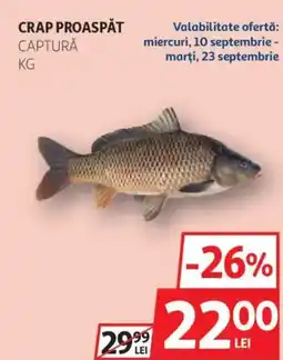 Auchan Crap proaspăt captură Ofertă